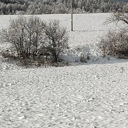 Ubytovani U Babicky Велке Лосіни Екстер'єр фото